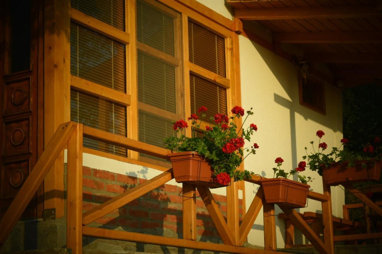 Sunset House Διαμέρισμα Οχρίδα Εξωτερικό φωτογραφία