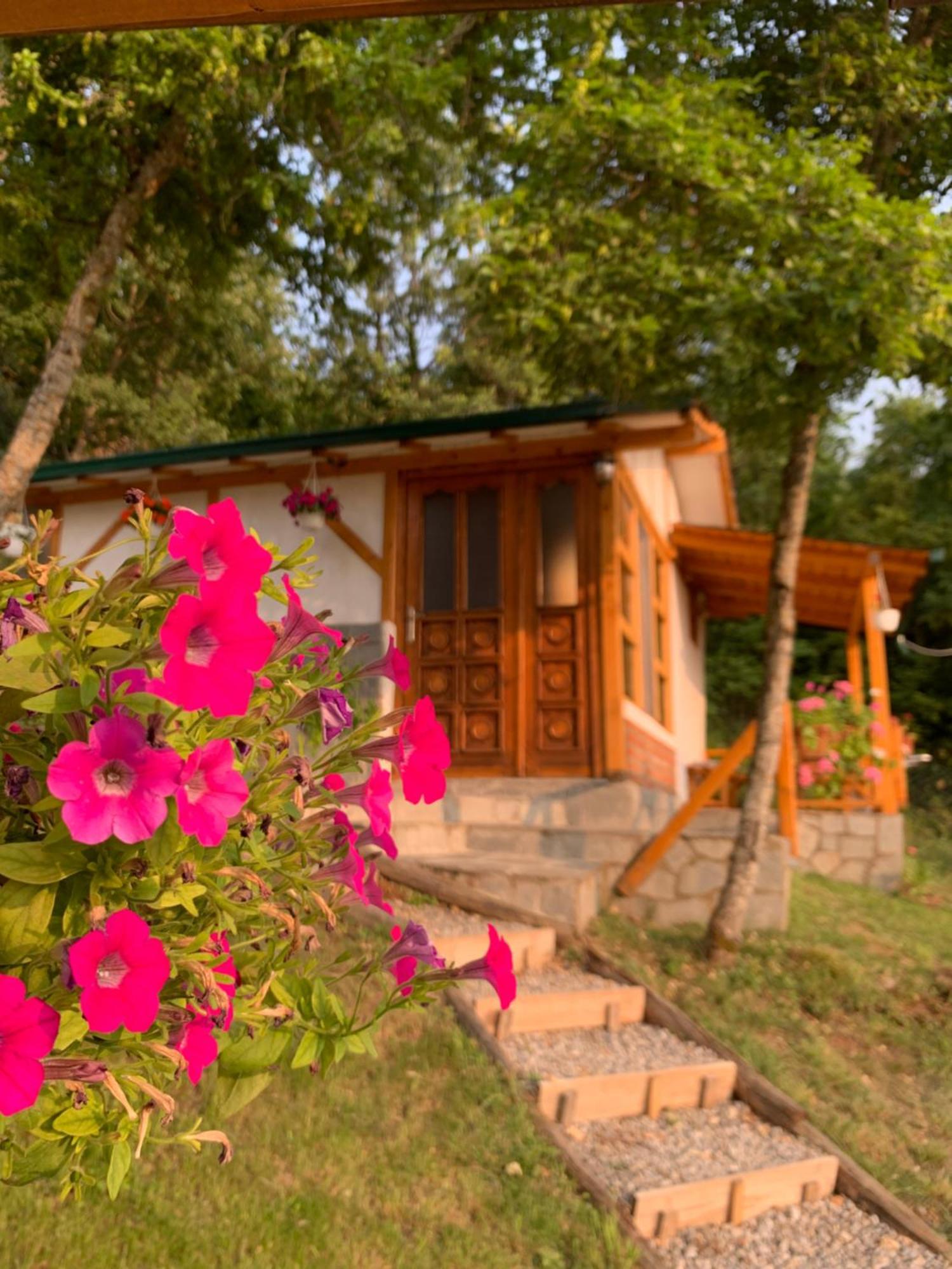 Sunset House Διαμέρισμα Οχρίδα Εξωτερικό φωτογραφία